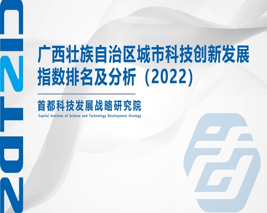 鸡把太大操妹子网站在线观看【成果发布】广西壮族自治区城市科技创新发展指数排名及分析（2022）